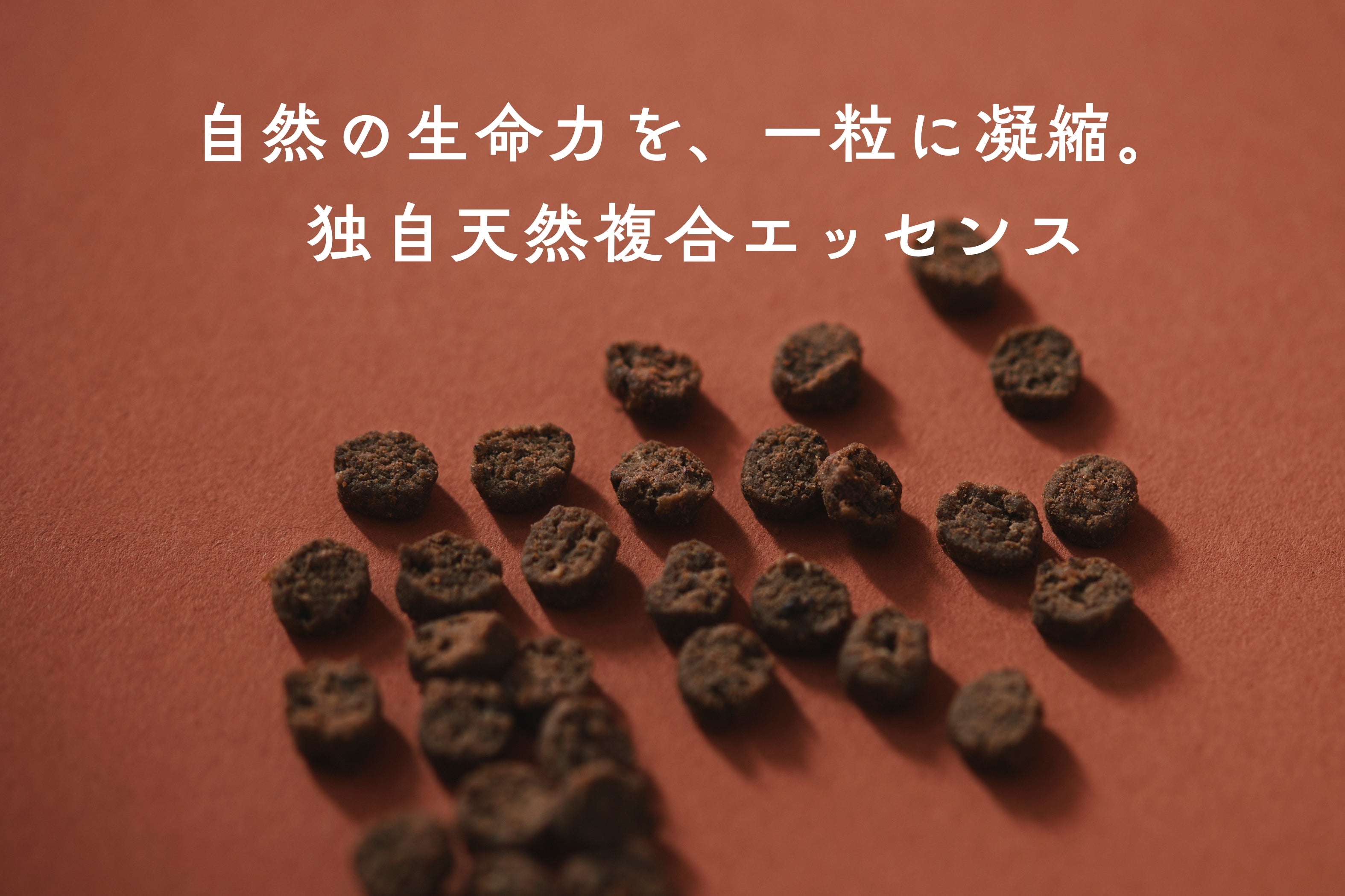 自然の生命力を一粒に凝縮した、nyam nyam(ニャムニャム)の独自天然複合エッセンス配合キャットフードの粒形状。